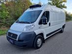 Fiat Ducato Frigo (43), Voorwielaandrijving, Wit, Overige carrosserie, 195 g/km