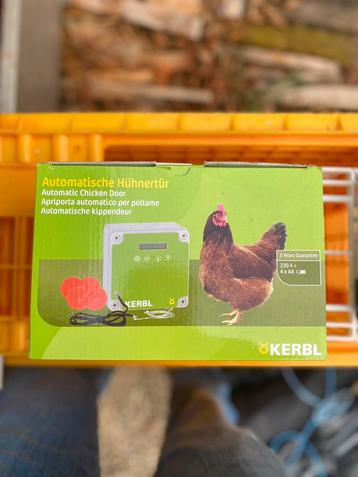 Éclosion automatique pour poules