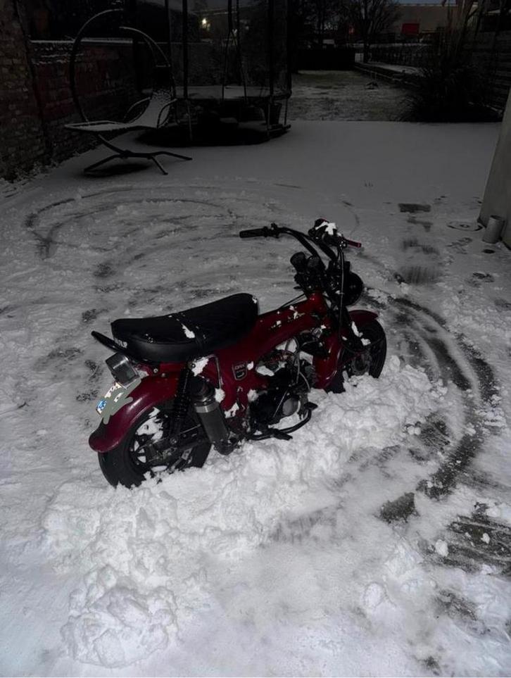 Lowrider dax b klasse, Vélos & Vélomoteurs, Cyclomoteurs | Honda, Enlèvement