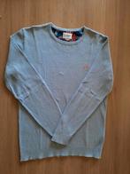 Pastelblauwe trui met ronde kraag, Kleding | Heren, Maat 52/54 (L), Gedragen, Ophalen of Verzenden