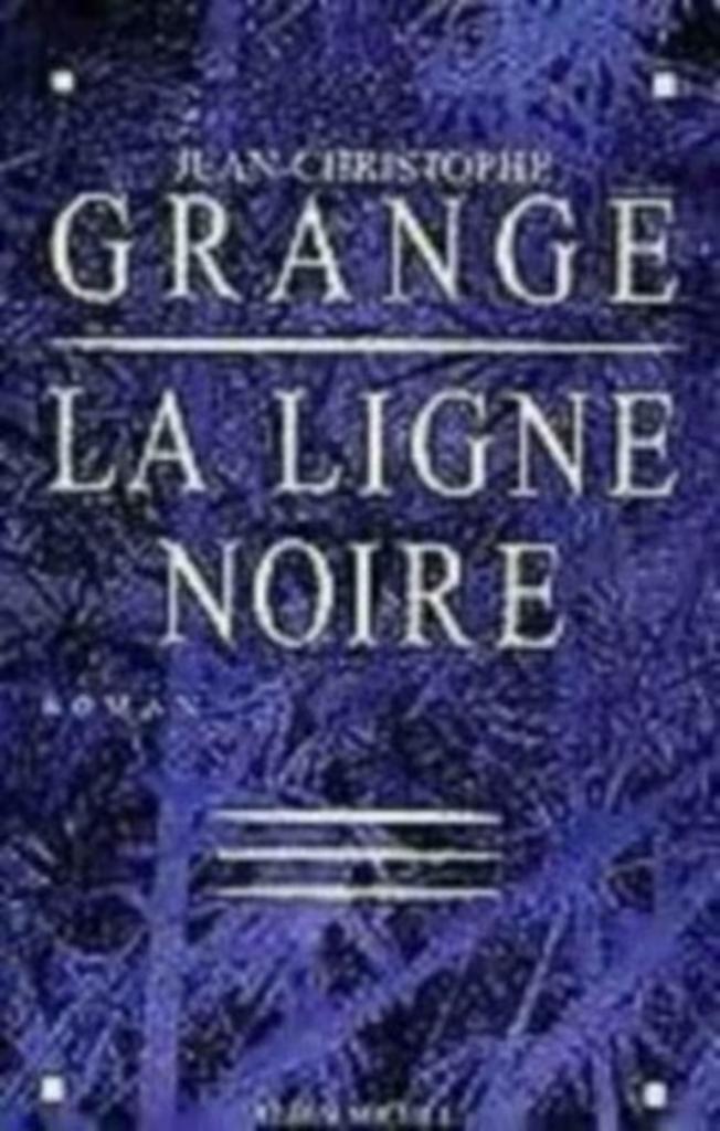 Franse boeken / deel 4  / grote keuze romans en trillers, Boeken, Romans, Zo goed als nieuw, Ophalen of Verzenden