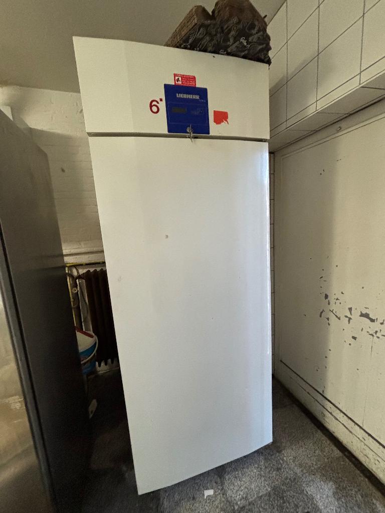 Liebherr bakkerij vrieskast – bakplaten – werkend, Elektronische apparatuur, Vriezers en Diepvrieskisten, Zo goed als nieuw, Vrijstaand