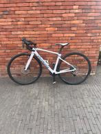 Witte specialized koersfiets maat 42cm, Fietsen en Brommers, Fietsen | Racefietsen, Overige merken, Carbon, Zo goed als nieuw