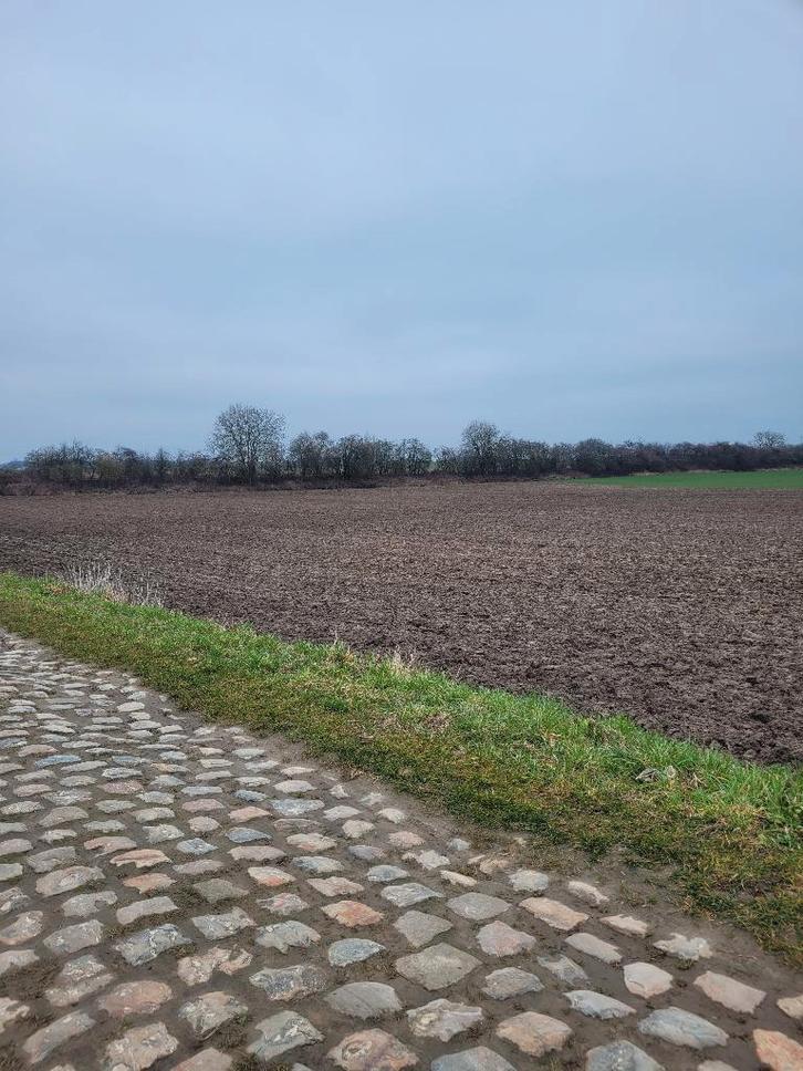 Terrain agricole libre 1 hectare à GEMBLOUX, Immo, Terrains & Terrains à bâtir