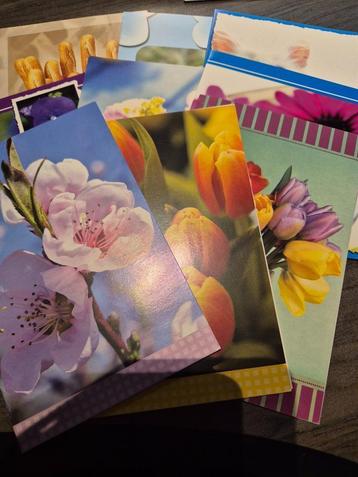 9 neutrale kaarten beschikbaar voor biedingen