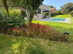 Bouwgrond halfopen bebouwing inclusief zwembad, Immo, Zutendaal, Verkoop zonder makelaar, 500 tot 1000 m²