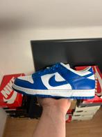 Dunk low kentucky, Ophalen of Verzenden, Nieuw