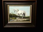 Schilderij  Wit paard. Gesign., Antiek en Kunst, Ophalen of Verzenden