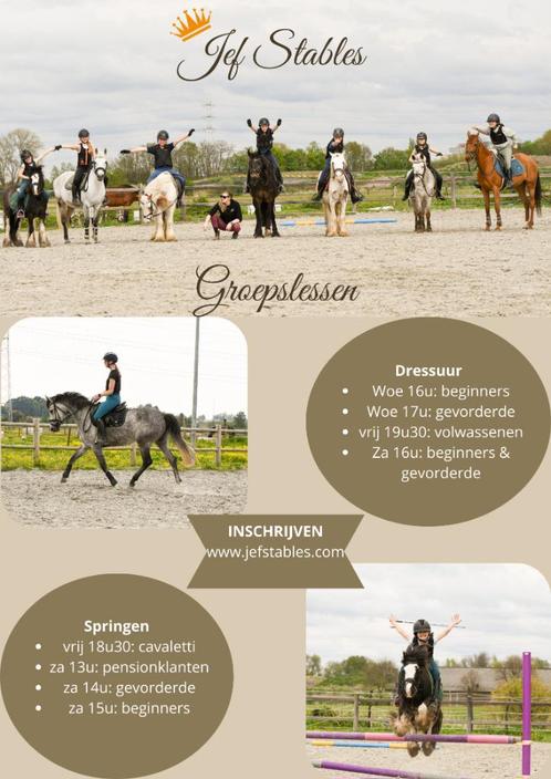 Groepslessen en privé-lessen te Jef Stables in Zulte, Animaux & Accessoires, Chevaux