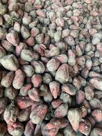 Voederbieten, Ophalen