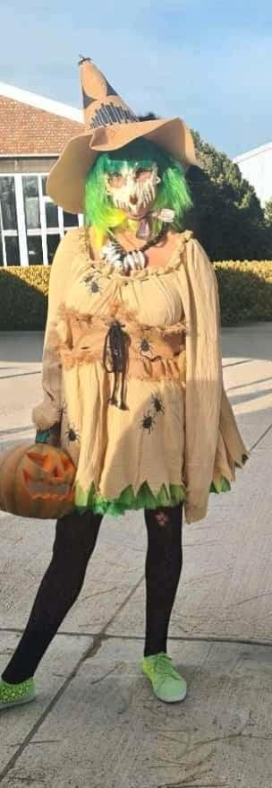 halloween heksenkleed, Kleding | Dames, Carnavalskleding en Feestkleding, Zo goed als nieuw, Kleding, Ophalen of Verzenden