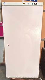 Vitrinekoelkast en professionele diepvriezer, Zakelijke goederen, Ophalen of Verzenden, Gebruikt, Koelen en Vriezen