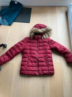 Veste rouge femme Tommy Hilfiger XL, Rouge, Taille 46/48 (XL) ou plus grande, Enlèvement, Porté