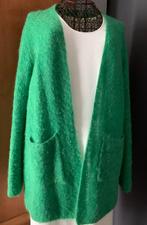Gilet Caroline Biss 36 magnifique vert gazon en mohair/laine, Vêtements | Femmes, Pulls & Gilets, Vert, Taille 36 (S), Porté, Enlèvement ou Envoi