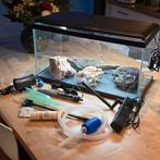 Aquarium 20L tout équipé, Enlèvement