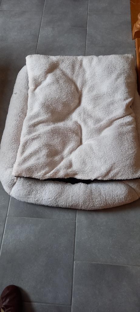 COUSSIN POUR CHIEN, Dieren en Toebehoren, Honden-accessoires, Ophalen