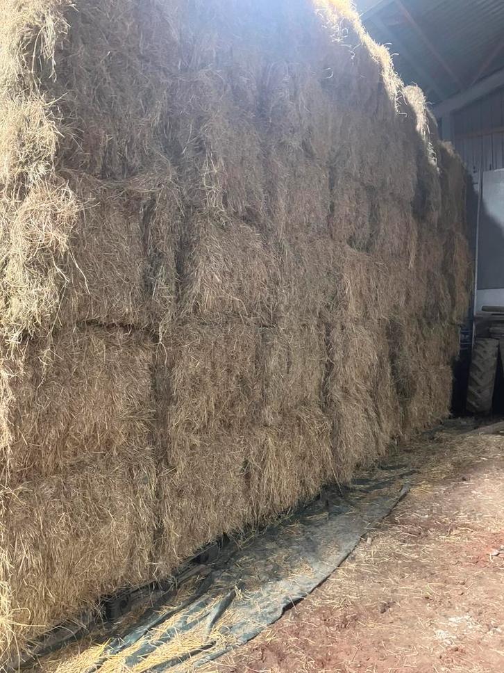 Grote balen hooi, Dieren en Toebehoren, Dierenvoeding, Ophalen