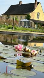 Grote waterlelies vanuit de tuin van Monet, Ophalen