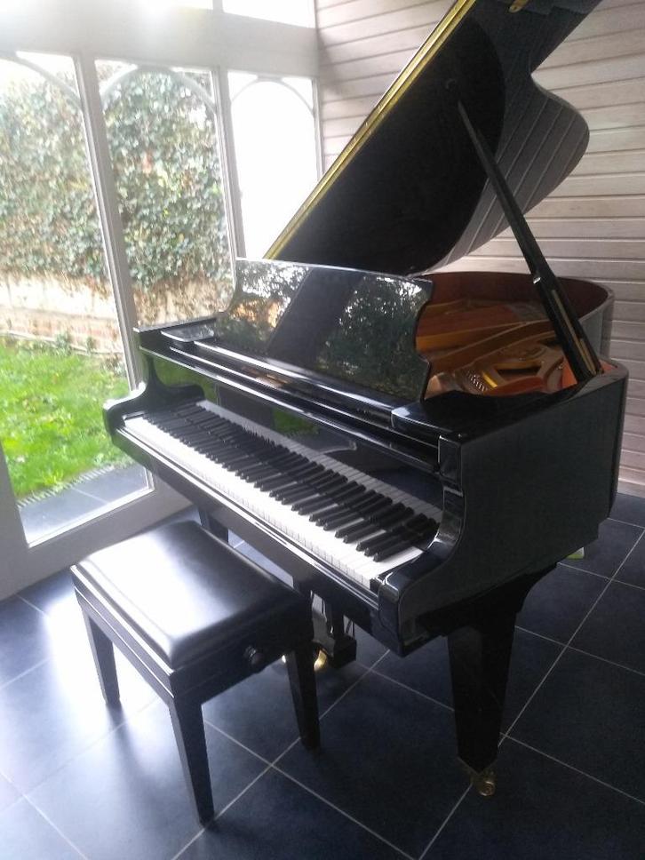 Schimmel-vleugel, Muziek en Instrumenten, Piano's, Gebruikt, Vleugel, Zwart, Ophalen