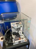 dennerle 30l aquarium tank met accessoires, Dieren en Toebehoren, Ophalen, Gebruikt
