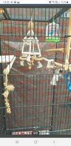 Vogelkooi te koop, Dieren en Toebehoren, Vogels | Parkieten en Papegaaien
