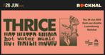 2 billets THRICE + HOT WATER MUSIC, Tickets en Kaartjes, Concerten | Overige, Twee personen, Juni