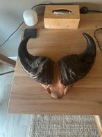 Décoration murale ethnique, Verzamelen, Dierenverzamelingen, Ophalen, Zo goed als nieuw