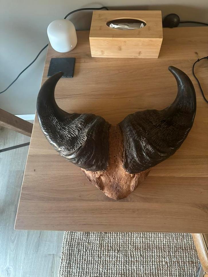 Décoration murale ethnique, Collections, Collections Animaux, Comme neuf, Enlèvement