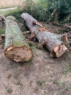 Inlandse eik, Tuin en Terras, Brandhout, Ophalen
