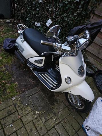 ZNEN broemer 2015 perfect alles inorde belgische papieren, Ophalen of Verzenden, Zo goed als nieuw