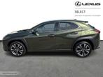 Lexus UX 250h Executive Line + Sunroof, Auto's, Lexus, Automaat, Euro 6, 184 pk, Bruin