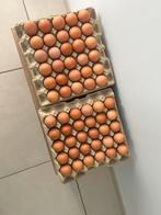 Eieren, Diversen, Levensmiddelen, Ophalen