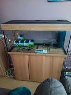 Aquarium Juwel 180 l met kast, Animaux & Accessoires, Comme neuf, Enlèvement