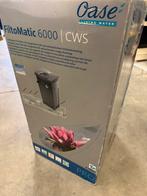 Oase Filtomatic 6000 CWS nieuw in de doos, Ophalen, Nieuw, Vijverfilter