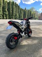 Honda MSX 125, 1 cylindre, Naked bike, Particulier, 125 cm³