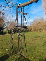 Hoofdstel met bit, teugels en martingaal voor C of D-pony, Dieren en Toebehoren, Ophalen