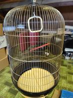 Grande cage à oiseaux, Animaux & Accessoires, Enlèvement, Utilisé, Synthétique, Cage à oiseaux