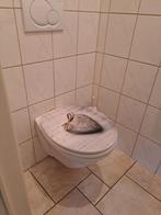 Hangtoilet Geberit, Ophalen, Gebruikt