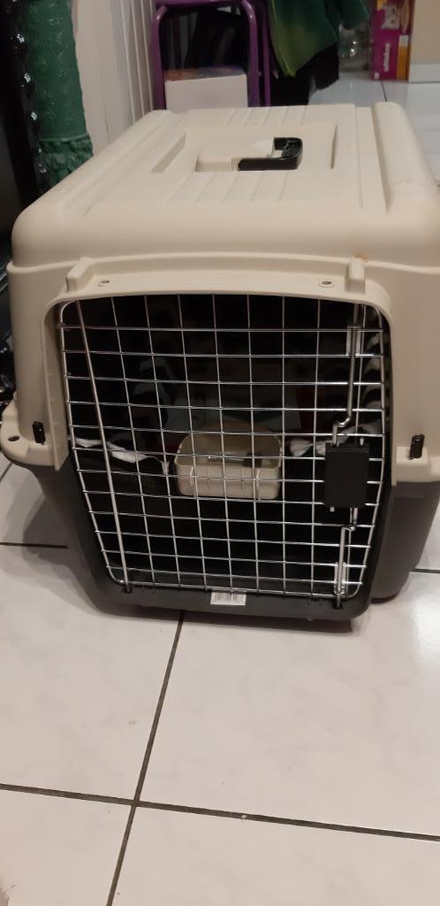 vervoerbox voor hond, Dieren en Toebehoren, Honden-accessoires, Nieuw, Ophalen