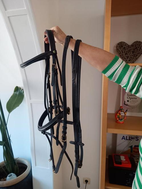 Diverse hoofdstellen te koop, Dieren en Toebehoren, Paarden en Pony's | Hoofdstellen en Tuigage, Zo goed als nieuw, Ophalen of Verzenden