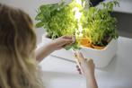 Nieuw | Fiskars Kruidentuin met LED verlichting | Op is Op., Tuin en Terras, 25 tot 40 cm, Kunststof, Nieuw, Binnen
