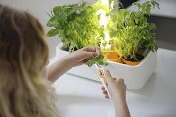 Nieuw | Fiskars Kruidentuin met LED verlichting | Op is Op., Tuin en Terras, 25 tot 40 cm, Kunststof, Nieuw, Binnen