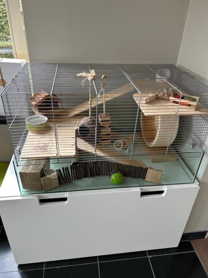 Interzoo hamsterkooi  78x48x44 + alle hamsterbenodigdheden, Dieren en Toebehoren, Knaagdieren en Konijnen | Hokken en Kooien, Zo goed als nieuw