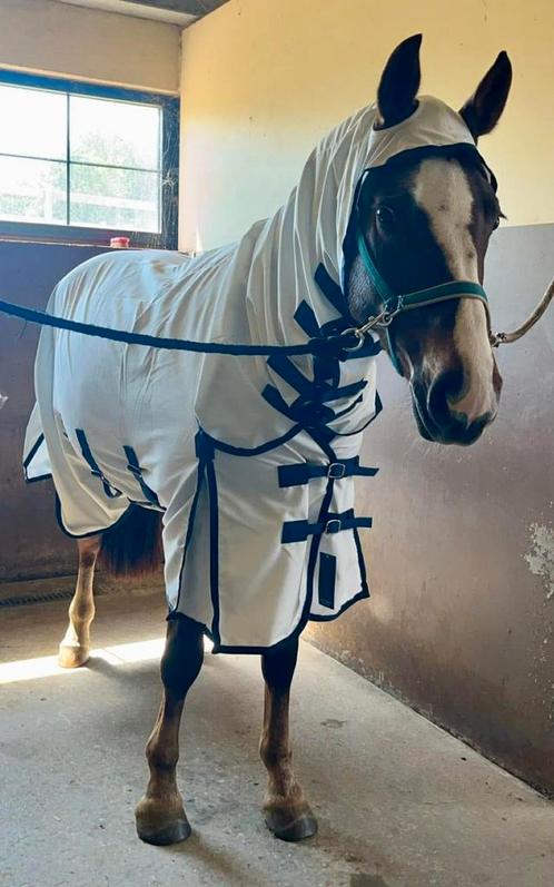 Eczeemdeken Horsegear, Dieren en Toebehoren, Paarden en Pony's | Dekens en Dekjes, Nieuw, Deken, Ophalen of Verzenden