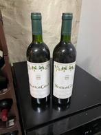 2 bouteilles vin blanc 1996, Comme neuf, Vin blanc