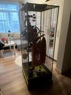 Grote kooi voor vogels of kleine knaagdieren, Dieren en Toebehoren, Kooi, 110 cm of meer, 60 tot 90 cm, Ophalen of Verzenden