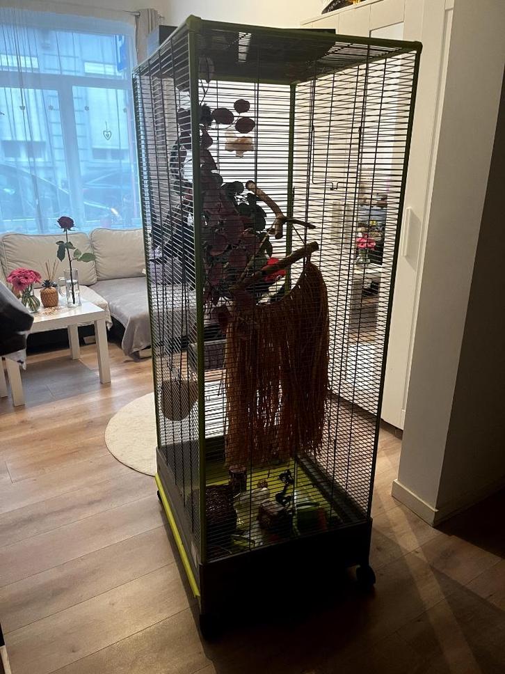 Grote kooi voor vogels of kleine knaagdieren, Dieren en Toebehoren, Knaagdieren en Konijnen | Hokken en Kooien, Zo goed als nieuw