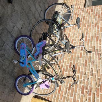 Fietsen Batavus en Gazelle beschikbaar voor biedingen