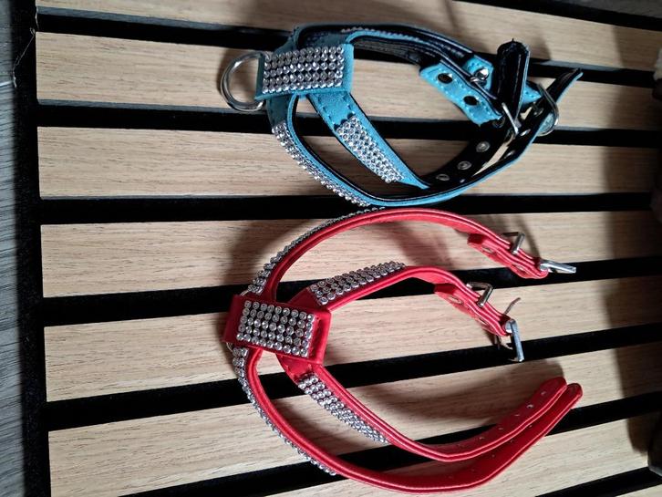 Harnais en cuir rouge ou bleu petit chien, Dieren en Toebehoren, Honden-accessoires, Zo goed als nieuw, Ophalen
