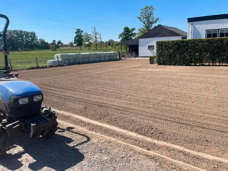 Professionele aanleg gazons, Jardin & Terrasse, Gazon & Gazon artificiel, Herbe, Enlèvement ou Envoi